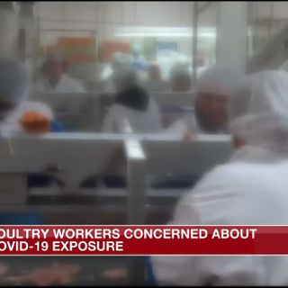 Poultry plant workers grow more concerned about COVID-19 exposure