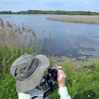 Huge fire ravages Poland's largest nature reserve - Digital Journal