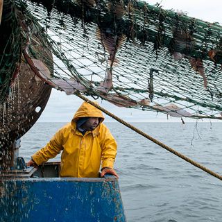 Mental Health and the Modern Fisherman | Hakai Magazine