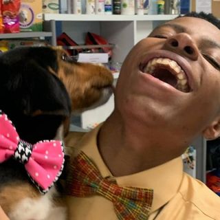 Teenager makes bow ties for shelter dogs to help them get adopted