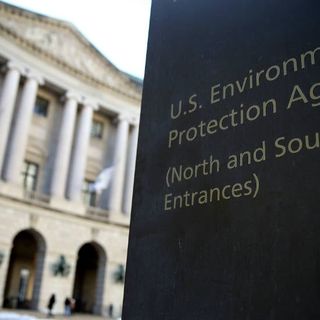 EPA to review interference in science during the Trump administration