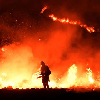 Wildfires could become a big threat in the UK due to climate change