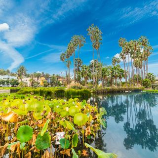 The City Is Reportedly Closing Echo Park Lake and Clearing the Encampment That&#8217;s Sprung Up There