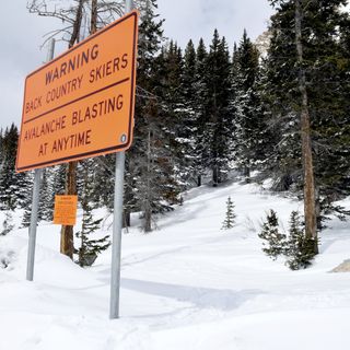 Snowboarders escaped monster avalanche, but not the law