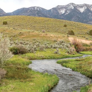 Simple hand-built structures can help streams survive wildfires and drought