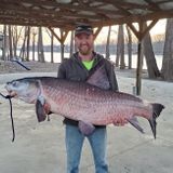 No fish tale: Missouri angler catches huge invasive black carp