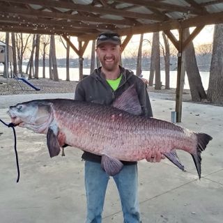 No fish tale: Missouri angler catches huge invasive black carp