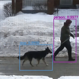 This AI-Powered Machine Yells Compliments to Pups Passing By