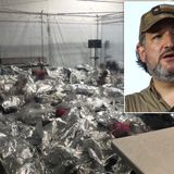 Ted Cruz blasts ‘Biden cages’ at border amid ‘inhumane’ migrant crisis