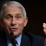 Fauci: Trump’s call to ‘liberate’ Virginia, Michigan ‘hit me like a punch to the chest’