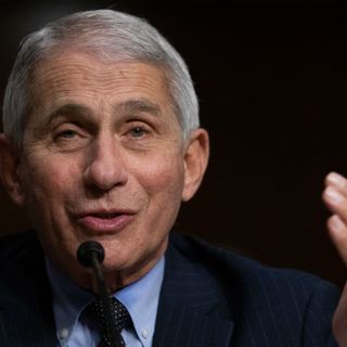 Fauci: Trump’s call to ‘liberate’ Virginia, Michigan ‘hit me like a punch to the chest’