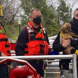 WATCH: Stranded dog rescued on railroad bridge along the Potomac River by DC Fire crews