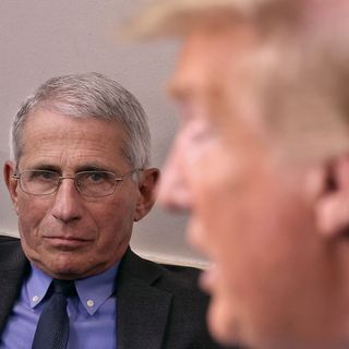 Dr. Fauci Names The Trump Moment That Shocked Him: 'Like A Punch To The Chest'