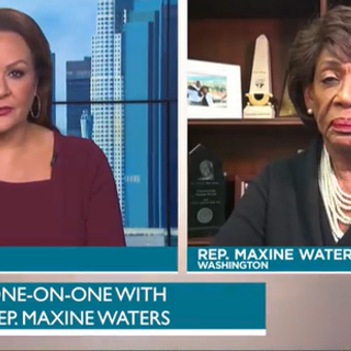 Maxine Waters: Police Believe Their Job ‘Is To Keep Black People In Their Place’ - The True Reporter