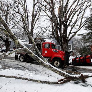 What Maine is doing to tamp down the worst power outages in the nation