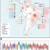 Deep genetic affinity between coastal Pacific and Amazonian natives evidenced by Australasian ancestry