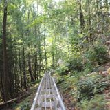 State investigating after rider ‘flew out of cart’ on Gatlinburg roller coaster