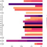 Provisional COVID-19 infrastructure induces large, rapid increases in cycling