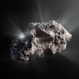 Interstellar comet Borisov is the most pristine space object ever seen