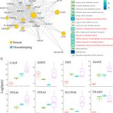 An ancient, conserved gene regulatory network led to the rise of oral venom systems