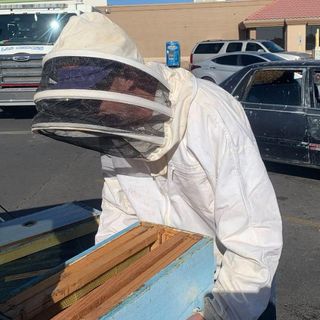 Man returns from shopping to find 15,000 bees in his car