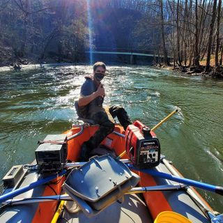 Obama’s herring: Removing dams on the Patapsco brings back a silvery little fish | COMMENTARY