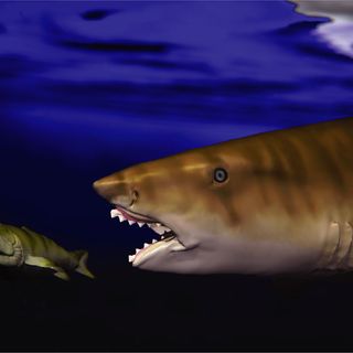 These Prehistoric Sharks Had Jaws Shaped Like Circular Saws and Sawtoothed Scissors