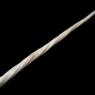 Narwhal tusks tell a troubling tale