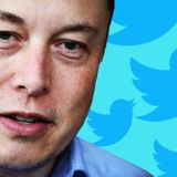 What It’s Like When Elon Musk’s Twitter Mob Comes After You