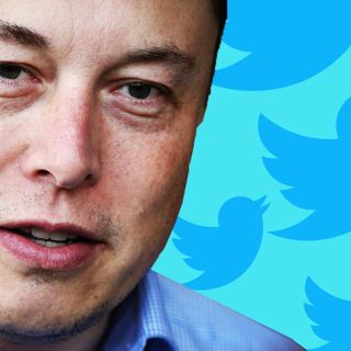 What It’s Like When Elon Musk’s Twitter Mob Comes After You