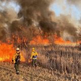 Wisconsin in state of emergency for wildfire risks; over 1,400 acres already burned