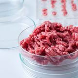 Cultivated Meat Projected To Be Cheaper Than Conventional Beef by 2030