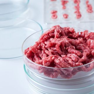 Cultivated Meat Projected To Be Cheaper Than Conventional Beef by 2030