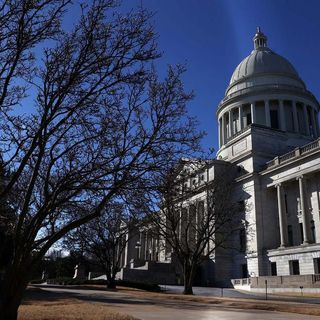 Arkansas becomes first state to outlaw gender-affirming treatment for trans youth