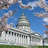 The odd history behind the Utah State Capitol’s cherry blossom trees