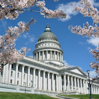 The odd history behind the Utah State Capitol’s cherry blossom trees