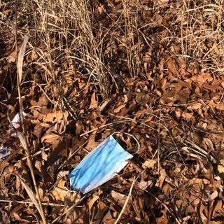 Over 1,100 PPE Items Removed From Jersey Shore Last Year, as Masks Litter World's Beaches