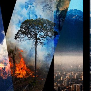 As the Climate Crisis Grows, a Movement Gathers to Make ‘Ecocide’ an International Crime Against the Environment - Inside Climate News