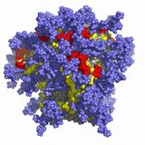 HIV vaccine stimulates 'rare immune cells' in early human trials