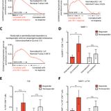 Epitope spreading toward wild-type melanocyte-lineage antigens rescues suboptimal immune checkpoint blockade responses