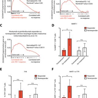 Epitope spreading toward wild-type melanocyte-lineage antigens rescues suboptimal immune checkpoint blockade responses