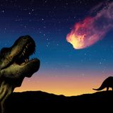 New theory behind Chicxulub impactor that killed the dinosaurs