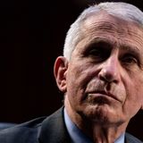 Fauci Thanks US Health Workers for Sacrifices but Admits PPE Shortages Drove Up Death Toll