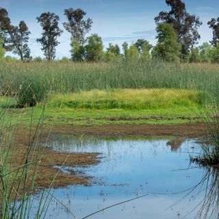 Heat-Trapping Methane Surged in 2020