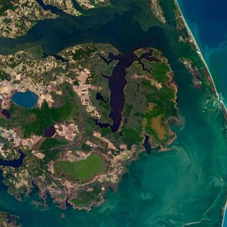 'Ghost forests' are invading the North Carolina coast