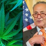 Schumer Weighs In On New York Legal Marijuana Talks, Applauding Legislature And Snubbing Cuomo