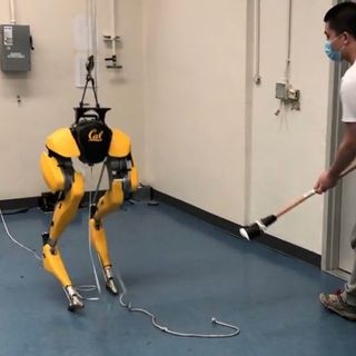 This Robot Taught Itself to Walk in a Simulation—Then Went for a Stroll in Berkeley