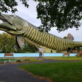 Step Inside The Mouth Of The World's Largest Fish For One Of Wisconsin's Most Unique Views