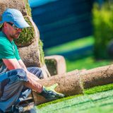 Las Vegas turf war – dry region looking to ban grass in some public spaces