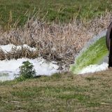 Florida’s environmental commission hasn’t met in 4 years | Commentary